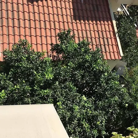 Appartement Ilyssion Holidays Ialysos (Rhodes)